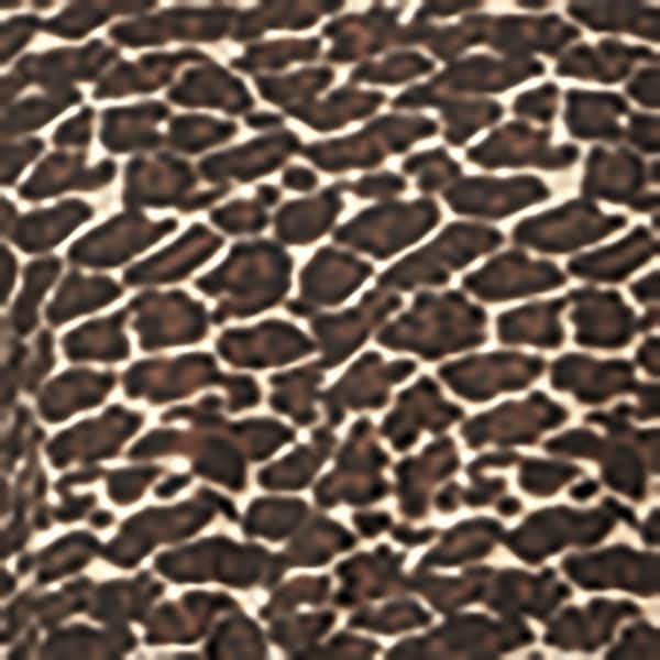 imageAmeriMark Comfortable Henley and Pant Set Womens Soft Long Sleeve Top and Pants Cozy Clothing and Lounge SetLeopard